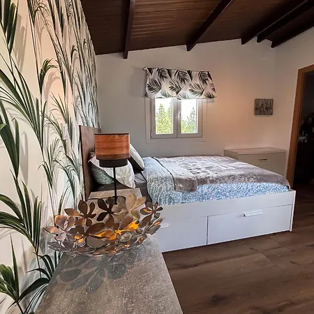 Small House In The Nature